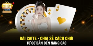 Bài Catte - Chia Sẻ Cách Chơi Từ Cơ Bản Đến Nâng Cao