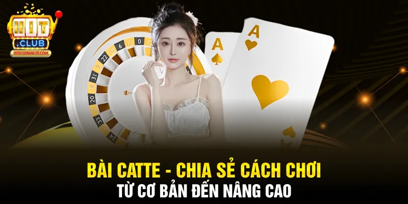 Bài Catte - Chia Sẻ Cách Chơi Từ Cơ Bản Đến Nâng Cao